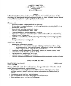 Music Industry Executive - Resume Sample 